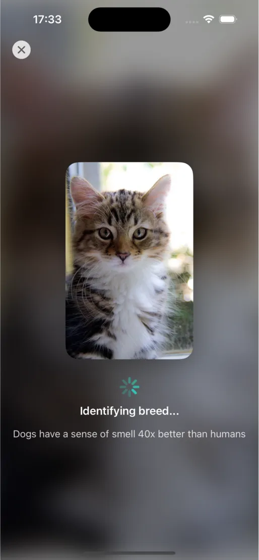 PetSnap screenshot 7