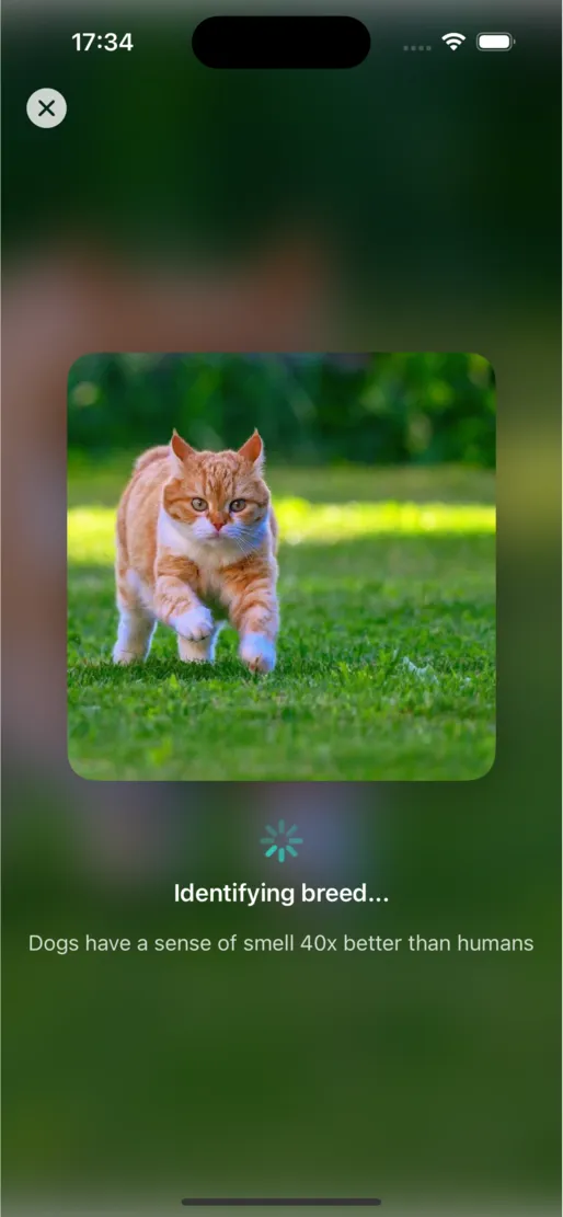 PetSnap screenshot 9